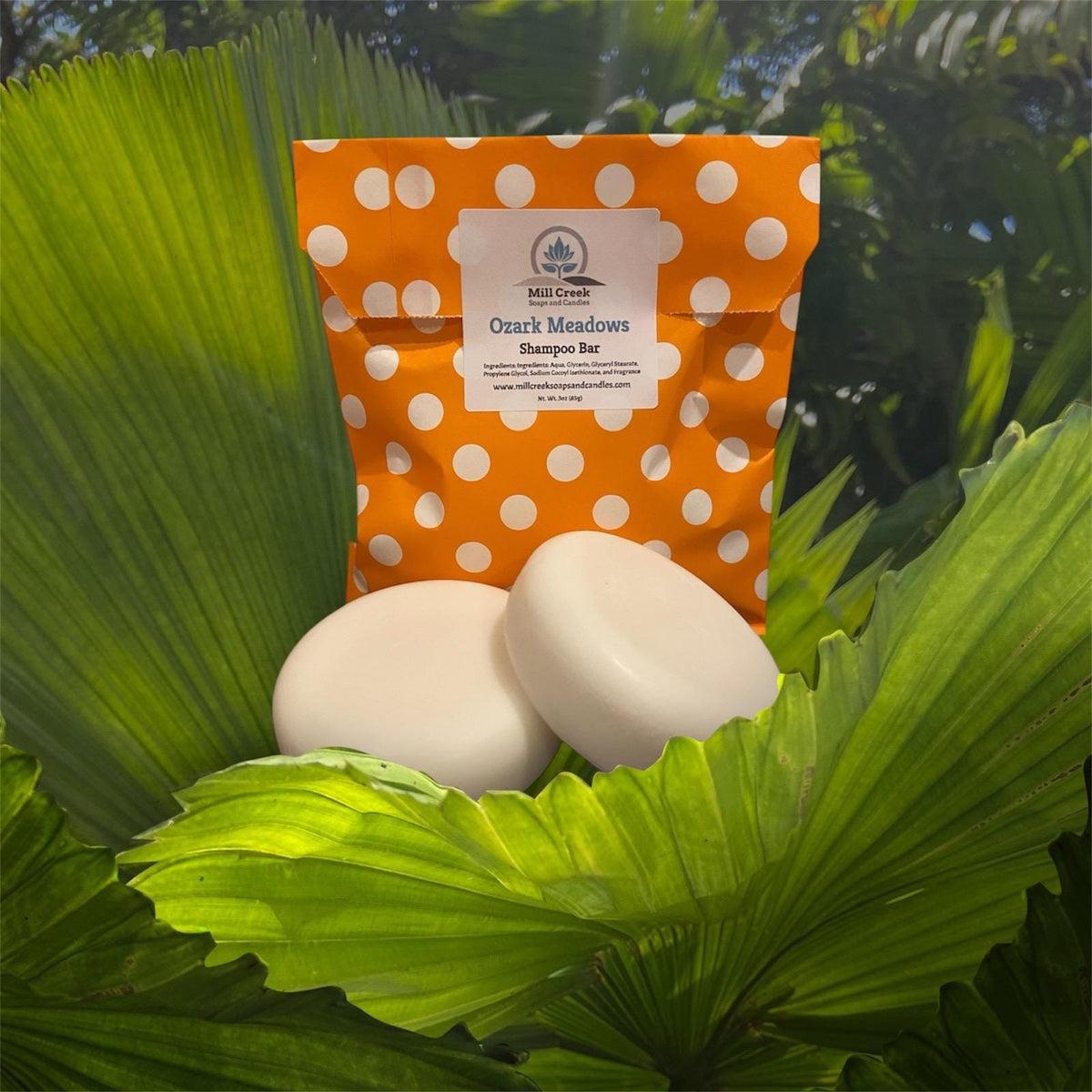 Shampoo Bar