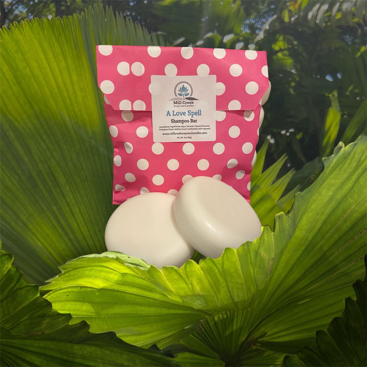 Shampoo Bar